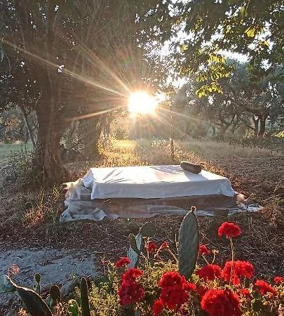 La Campagna Di Rosy Lägenhet Genzano di Roma Exteriör bild