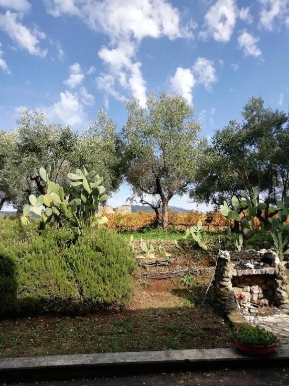 La Campagna Di Rosy Lägenhet Genzano di Roma Exteriör bild